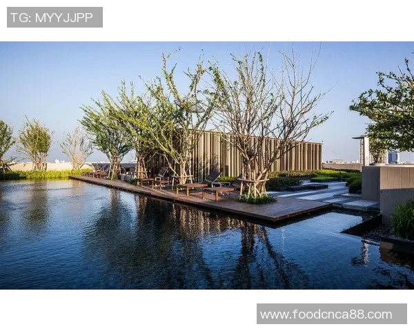 露台足球的魅力与乐趣探索让城市生活更添活力与激情